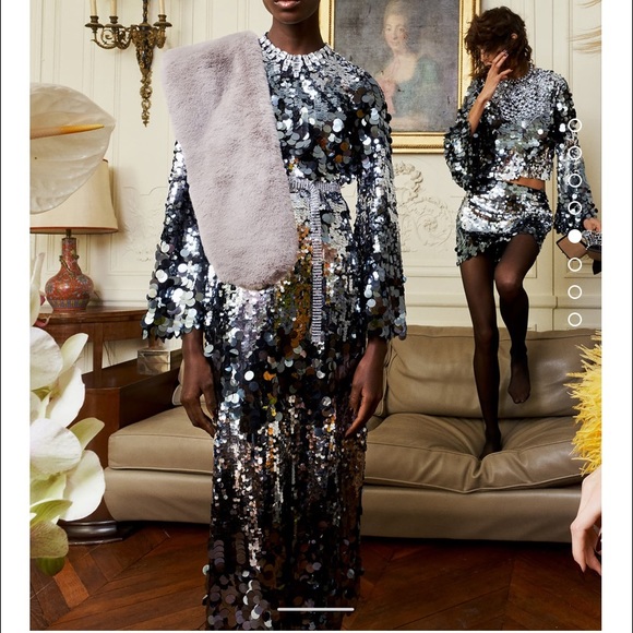 GORGEOUS ZARA NWT SPECIAL EDITION Sequin Crop Top - Picture 14 of 16